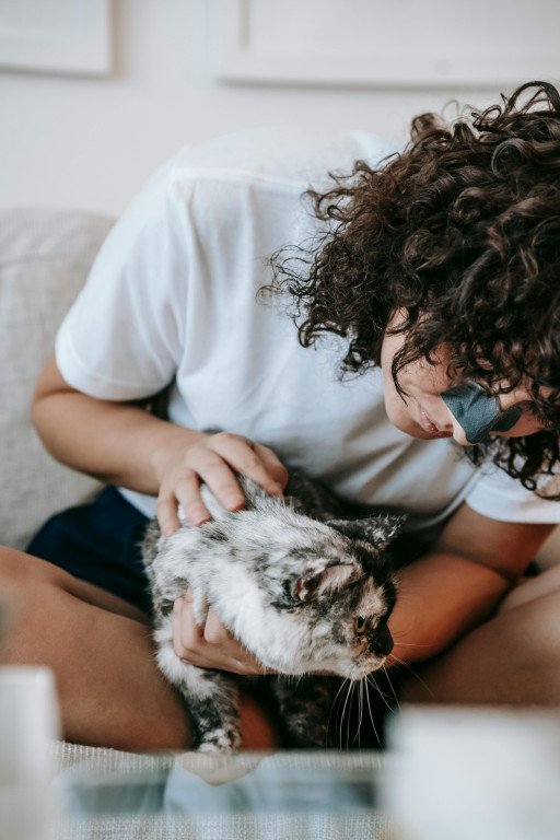 The Ultimate Guide to Loving Care for Cat Rescue